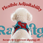 rabbitgoo Dog Harness Small Sized and Leash Set, Step-in Breathable Pet Harness, Soft Walking Reflective Puppy Vest for Small Dogs, Red & Teal, L