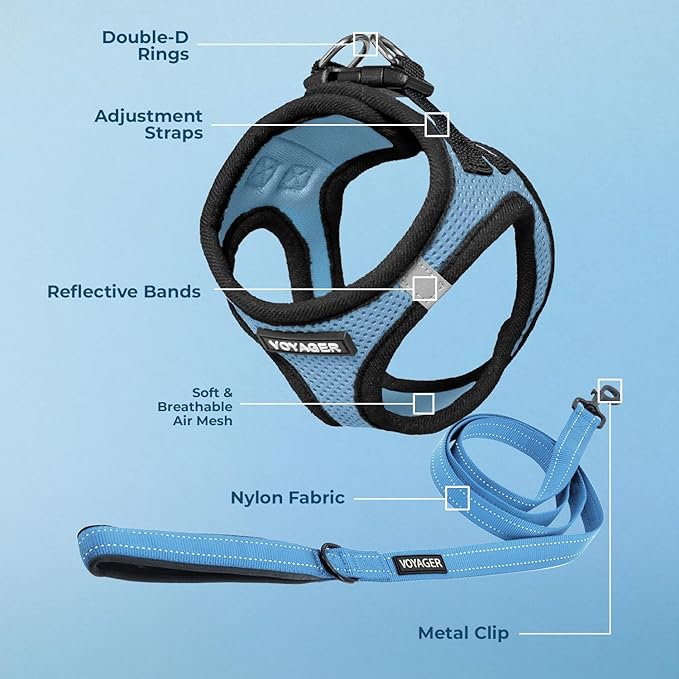 Best Pet Supplies Voyager Step-in Air All Weather Mesh Harness and Reflective Dog 5 ft Leash Combo with Neoprene Handle, for Small, Medium and Large Breed Puppies - Baby Blue/Black Trim, X-Small