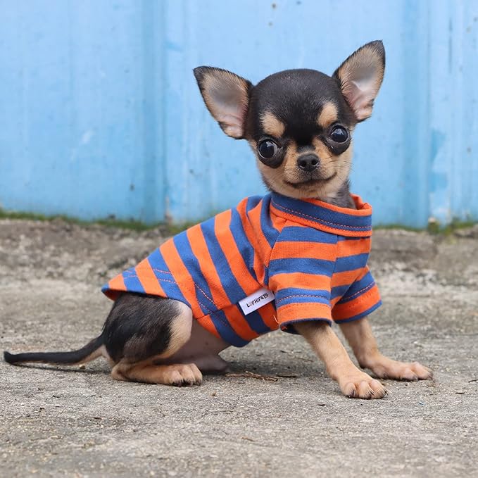 LOPHIPETS 100% Breathable Cotton Striped Dog Tee Shirt T-Shirt for Small Dogs Teacup Chihuahua Yorkie Puppy Clothes -Orange and Blue Strips/XS