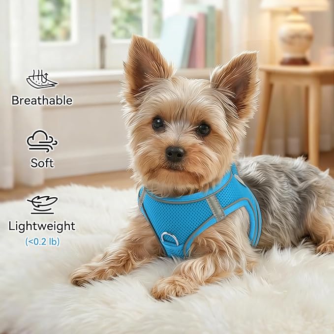 Joytale Small Dog Harness, Breathable Mesh Step-in Vest, Reflective Soft Padded Harnesses Small Sized Dog for Walking, Sky Blue, S