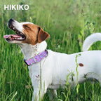 Hikiko Martingale Collar for Dogs Purple Butterfly Nylon Dog Collars with Buckle for Cute Girl Small Medium Large Dogs（Purple Butterfly,Large）