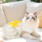 choyaxo 4pcs Cute Dog Dress Pet Dress Puppy Skirt Summer Pet Clothes for Puppy Small Cats
