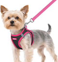 rabbitgoo Dog Harness Small Sized and Leash Set, Step-in Breathable Pet Harness, Soft Walking Reflective Puppy Vest for Small Dogs, Black & Rose Red, XS