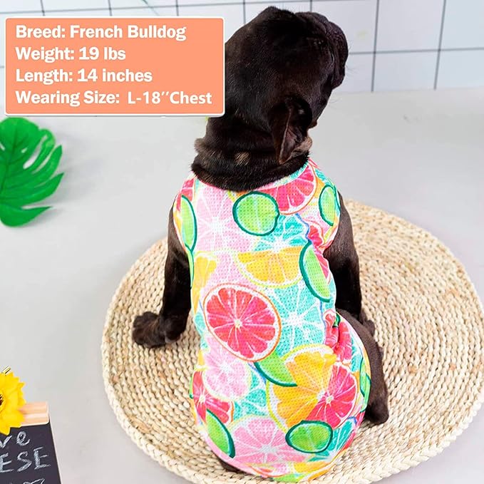 KYEESE 2Pack Dog Shirt, Lightweight Sun Protection Dog T Shirts for Small Dogs Girl, Breathable Mesh Tank Top Sleeveless Pet Reflective Vest, Soft Summer Dogs Clothes, Lemon+Pink, L