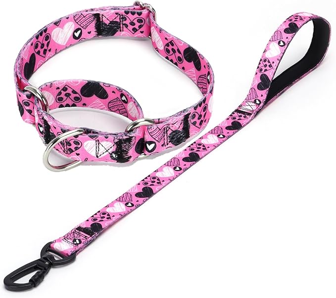 Martingale Collar and Leash Set, Premium No Slip Martingale Collar for Dogs Medium Large, Girl Dog Collars Training (NO16, L)