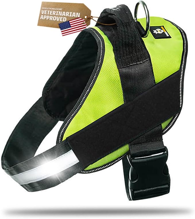 Dog Harness with Patch Panels, No Choke, Reflective, Adjustable, Soft Padded Dog Vest Harness with Easy Control Handle for Growing Puppy Size Dog, Green, XS
