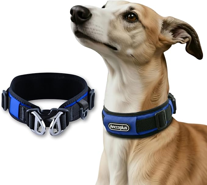 Comfort Fit Dog Collar, Anti-Choke Neck Safe Dog Training Collar, Wide Padded, Breathable, Adjustable with Dual D-Rings, Soft Cushion Neck Protector for Dogs (M, Blue)