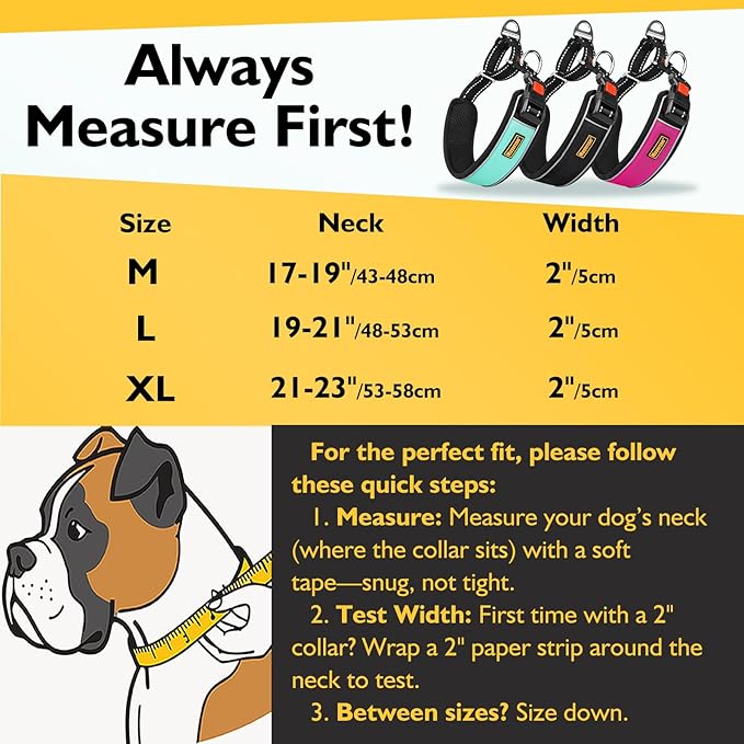 Mayerzon 2 Inch Wide Martingale Collar for Large Dogs, Patented No Pull Walking Training Dog Collar for Pitbull German Shepherd, with Buckle, Reflective Stitching, Adjustable (Black, L)