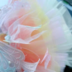 Dog Princess Dress,Summer Thin Cat Rainbow Butterfly Pettiskirt Cute Pet Clothes Chihuahua Teddy Dress Pet Supplies (M)