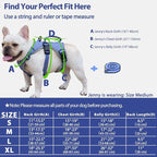 Huntboo Escape Proof Dog Harness, Escape Artist Harness, Reflective Dog Harness with Handle, Durable,Adjustable Vest for Small Medium Large Dogs Walking, Training, and Running Gear(Technicolor Blue,S)
