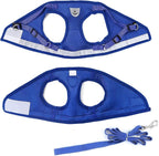 FEimaX Dog Harness and Leash Set for Walking, Soft Mesh Adjustable Easy Control Lightweight Cat Vest Harnesses with Reflective Strips, Escape Proof Small Dogs Cats Vests (Blue, Large)