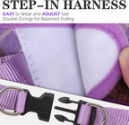 EXPAWLORER Classic Plaid Puppy Harness - Small Dog Harness and Leash Set - Dog Collar and Leash Set with AirTag Holder, Soft Padded Step in Dog Vest Harness No Pull Reflective for Outdoor, Purple M
