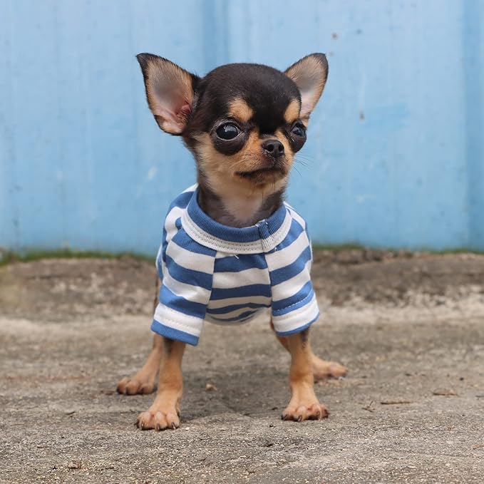 LOPHIPETS 100% Breathable Cotton Striped Dog Tee Shirt T-Shirt for Small Dogs Teacup Chihuahua Yorkie Puppy Clothes -Blue and White Strips/XS