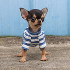 LOPHIPETS 100% Breathable Cotton Striped Dog Tee Shirt T-Shirt for Small Dogs Teacup Chihuahua Yorkie Puppy Clothes -Blue and White Strips/XS