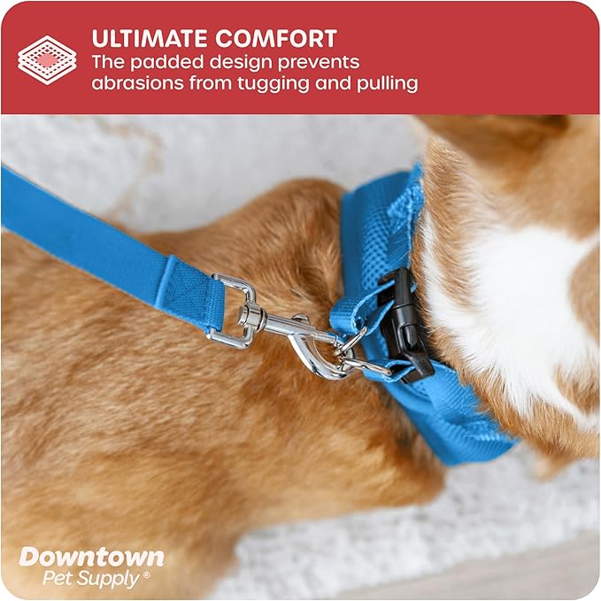Downtown Pet Supply Step in Dog Harness for Small Dogs, X-Small, Cobalt - Adjustable, Reflective Trim, No Pull, Padded Mesh Fabric, Buckle Strap Harness for Dogs