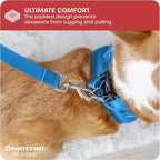 Downtown Pet Supply Step in Dog Harness for Small Dogs No Pull, Medium, Cobalt - Adjustable, Reflective Trim, Padded Mesh Fabric, Buckle Strap Harness for Dogs