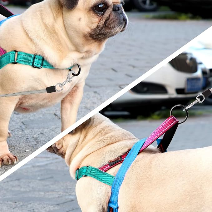 Didog No Pull Dog Harness with Soft Padded Handle, Quick Fit & Lightweight Adjustable Vest Harness, Easy for Training Walking for Small & Medium and Large Dogs(Blue,S)