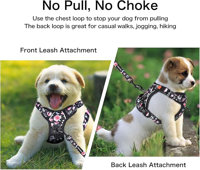 Petmolico XS Dog Harness and Leash Set, No Choke 4 Leash Attachments Easy Control Handle Soft Padded Reflective Vest for Small Dogs, Rose