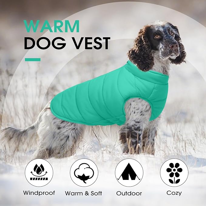 Dog Puffer Jacket with Detachable Neck Wrap for Small Dogs, Waterproof Dog Vest with Back Zipper, Winter Coat Fleece Elastic Band on Chest for Dogs, Bichon Frise, Chihuahua, Green XS