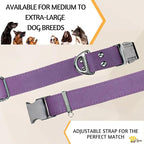 ADITYNA Leather Dog Collar with Metal Buckle - Heavy-Duty, Adjustable for Large & Extra Large Dogs - Walking & Training (Purple, Fits 19-30" Necks)