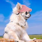 Jadive X-Small Dog Sun Hat with Ear Holes, Dog Cat Sunglasses with Anti-Slip Silicone Rope Baseball Cap Adjustable Puppy Sunbonnet Headdress Beach Visor Hat for Puppies Summer Outdoor(Pink)