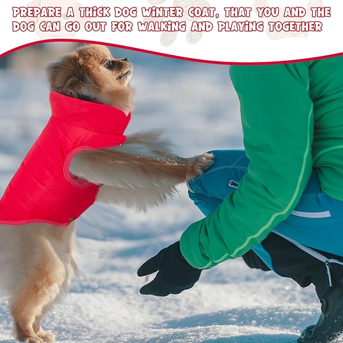 Syhood 2 Pieces Dog Jacket 2 Layers Fleece Lined Dog Jacket Warm Soft Windproof Small Pet Coat for Winter Cold Weather(S,Red, Pink)