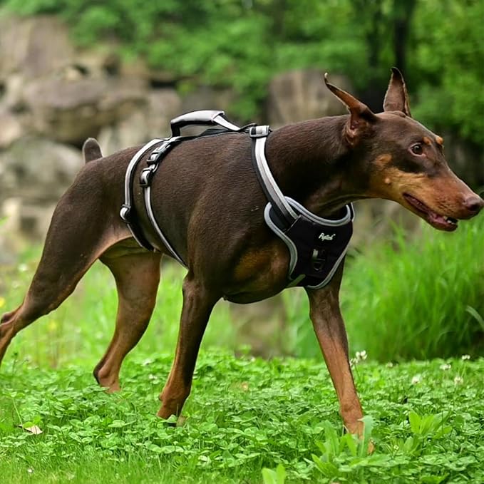 PUPTECK Escape Proof Dog Harness with Padded Handle, No Pull Pet Vest Harness Durable Reflective for Medium Large Dogs Walking Training and Running, Black, M