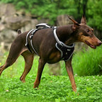 PUPTECK Escape Proof Dog Harness with Padded Handle, No Pull Pet Vest Harness Durable Reflective for Medium Large Dogs Walking Training and Running, Black, M