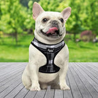 PUPTECK Soft Mesh Dog Harness and Leash Set Pet Puppy Cat Comfort Padded Vest No Pull Harnesses, Black, L