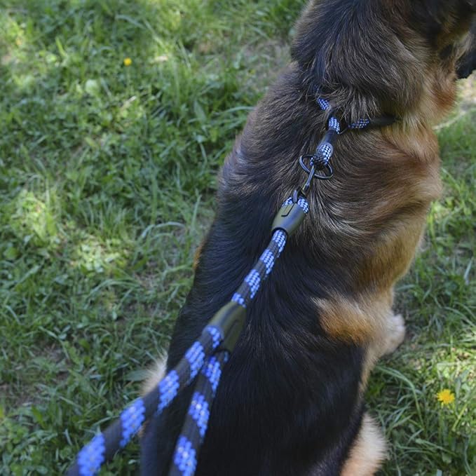 BronzeDog Rope Pro Training Dog Collar Braided No Pull Quick Release Round Lead Collars for Dogs Small Medium Large Puppy (L - 21.7" Long, Blue)