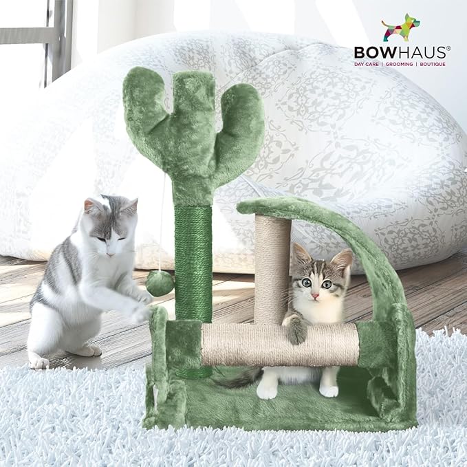Cactus Cat Tree, Cactus Cat Tower with Thickened Base, Green Cat Tower for Indoor Small Cats, Cute Cactus cat Tree Tower w/Scratching Post and Interactive Toy, 20-Inch