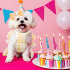 PETCARE Cute Dog Dress Clothes for Small Dogs Cats Girl Female Yellow Plaid Bow Tie Dog Harness Dresses Leash Set with Pearls Bow Accessories Birthday Puppy Dress Shih Tzu Yorkies Chihuahua Outfits