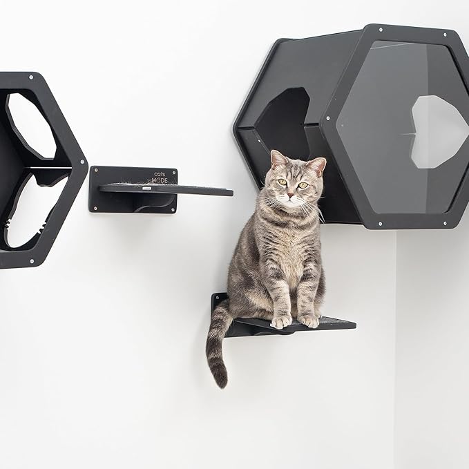 Wall Cat Shelves Wood Shelves Furniture - Wooden Shelf Wall Mounted Furniture - Indoor Cats Rustic Decor Lover Gift (Cat Wall Bed)