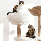Cats Tree, 51" Modern Cat Tree Tower Natural Solid Wood Cat Furniture Luxury Condo & Dual Perches, Multi-Level Solid Wood Cat Tree Tower with Large Basket for Big Cats, White