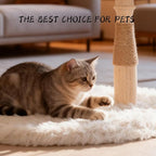 Modern Cat Tree Tower for Indoor Cats, Natural Solid Wooden Branch with Sisal Scratching Post, Log Style Rome Cat Furniture with Perches Platform & Toy Ball
