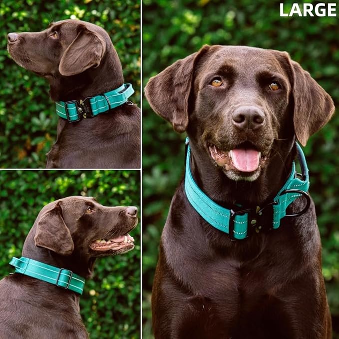 Tuff Pupper Tactical Dog Collar with Handle | Heavy Duty Adjustable Dog Collar | Military Nylon Collar for Large Dogs | Quick-Release Buckle | Soft Padded Comfort | Training Control (Green, Large)