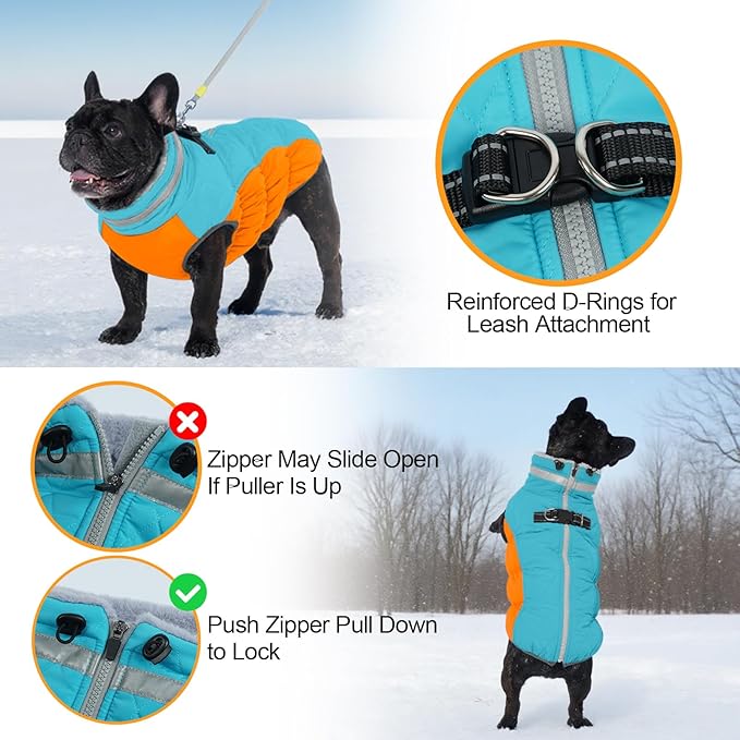 Warm Dog Coats for Medium Dogs, Waterproof Dog Jacket with Harness Built in, Zipper Clousure, Fleece Lining for Cold Weather Outdoor Walks, Snowsuit for Schnauzer, Boston Terrier, Pug - M