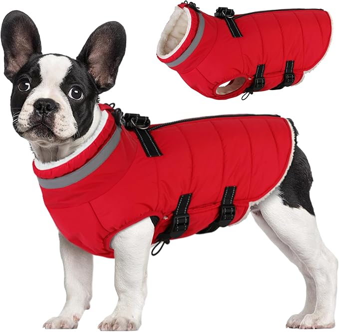 Mklhgty Medium Dog Coat with Harness Built-in, Waterproof Reflective Fleece Lined - Warm Windproof Winter Jacket with Back Zipper, Cold Weather Snow Dog Coats - Red - M
