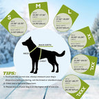 EMUST Winter Dog Jacket, Windproof Dog Apparel for Cold Weather, Reflective Coats for Dogs, Warm Puppy Jacket for Cold Winter, Green, S