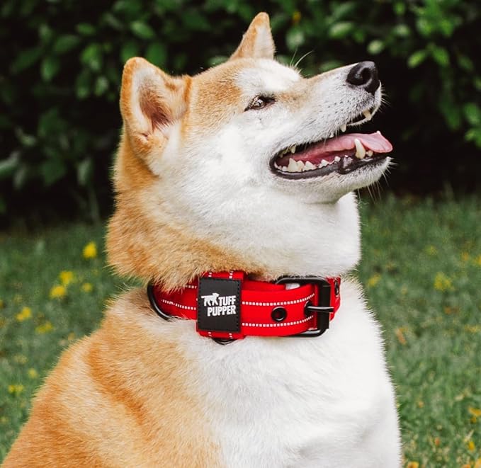 Tuff Pupper Heavy Duty Tactical Dog Collar | 1.5" Wide Ballistic Nylon | Reflective Stitching | Integrated ID Tag Holder | Stainless Steel Buckle | Padded Lining | Medium & Large Dogs (Red, Medium)