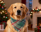 Christmas Dog Bandanas 2PCS-XLarge,Holiday Scarf Two-Sided with Tassels Edges,Stylish Triangle Dog Outfit for Boy and Girl,Winter Christmas Classic Red Green Plaid Pet Costume for Extra Large Dogs