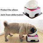 Bulldog Bowl Anti-Slip Dog Cat Dish Detachable Dog Bowls Pet Sterile Tilted Pet Feeder Slope Base (White,Ceramic-1.5 Cup