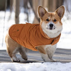 Queenmore Warm Dog Coat, Cold Weather Puffer Jacket with Ultra Thick Plush Lining and Storage Pockets (Brown, Large)