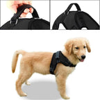No Pull Reflective Adjustable Dog Harness with Handle- Comfortable Soft All Weather Mesh, Easy On Puppy Harness for Small Medium and Large Dogs (Black) Small