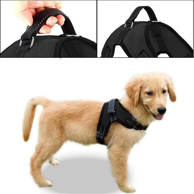 No Pull Reflective Adjustable Dog Harness With Handle- Comfortable Soft All Weather Mesh, Easy On Puppy Harness For Small Medium and Large Dogs (Black) Large