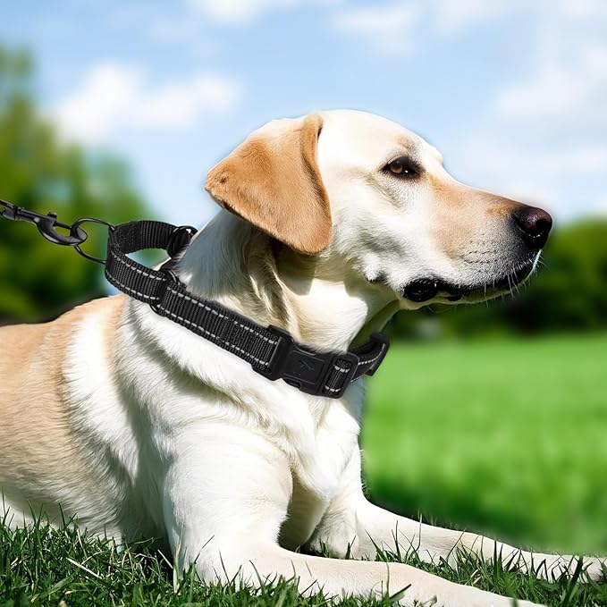 Martingale Collar for Dogs with Quick Release Buckle, Reflective Soft Padded & Escape Proof, Adjustable Nylon Dog Collars for Training & Daily Walking (Black,L)