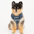 Puppia Cynthia Dog Harness H Sturdy Adjustable Neck and Chest Reflective Flower Pattern Front and Back D-Ring for Small and Medium Dogs, Blue, Medium