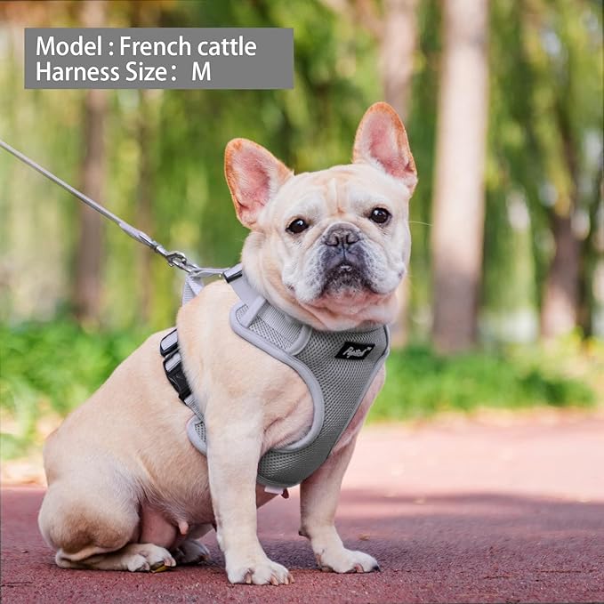PUPTECK Small Dog Harness and Leash Set, No Pull Adjustable Puppy Cat Harness, Reflective Soft Mesh Pet Vest Small Sized, Grey, S