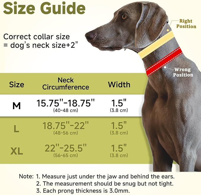 Mayerzon Martingale No Pull Collar for Large Medium Dogs, Patented Dog Walking Training Collar for Pulling, 1.5'' Wide Alloy Buckle, Neoprene Padded, Adjustable, Reflective, Easy to Use (Black, M)