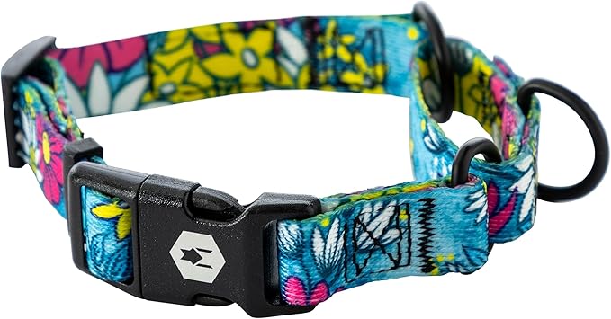 Wolfgang Heavy Duty Martingale Dog Collar with Quick Release Nylon Buckle for Walking & Training, LazyDaisy Print, Small